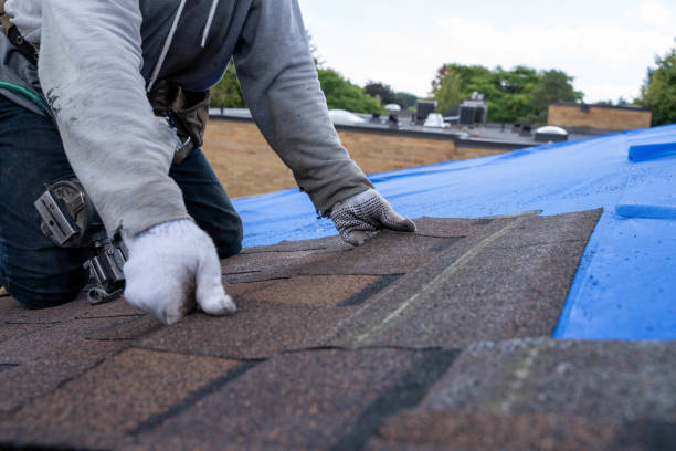 Best Roof Moss and Algae Removal  in Marlboro Meadows, MD